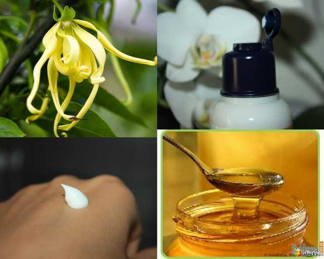 Молочко для тела L`Occitane lait ultra riche corps beurre de karite - фото